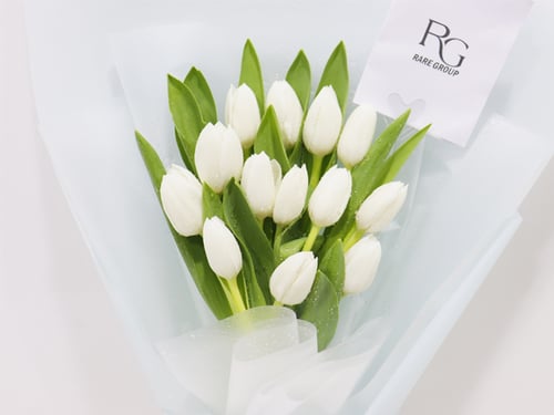 3302 - صورة 2