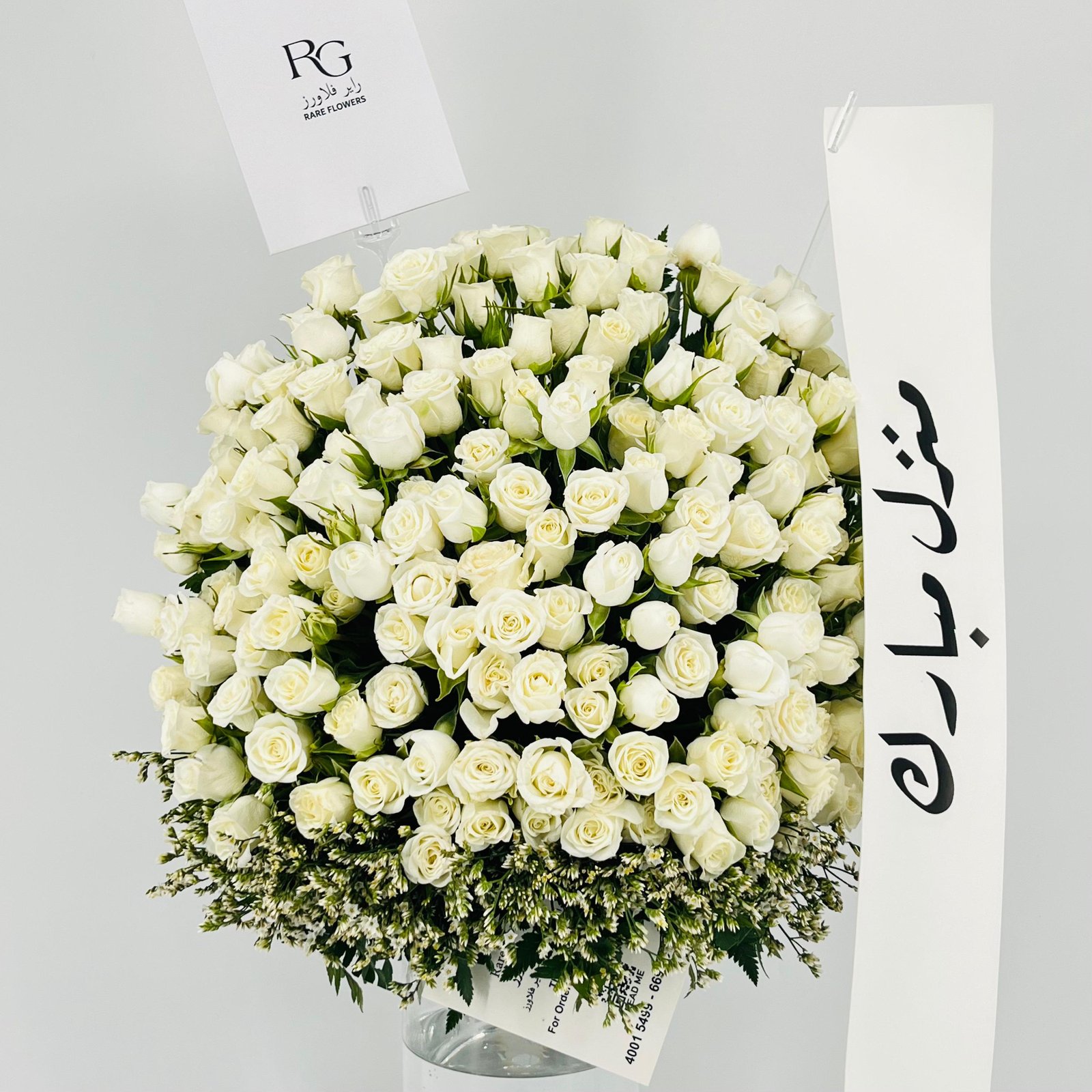 13436 - Image 5
