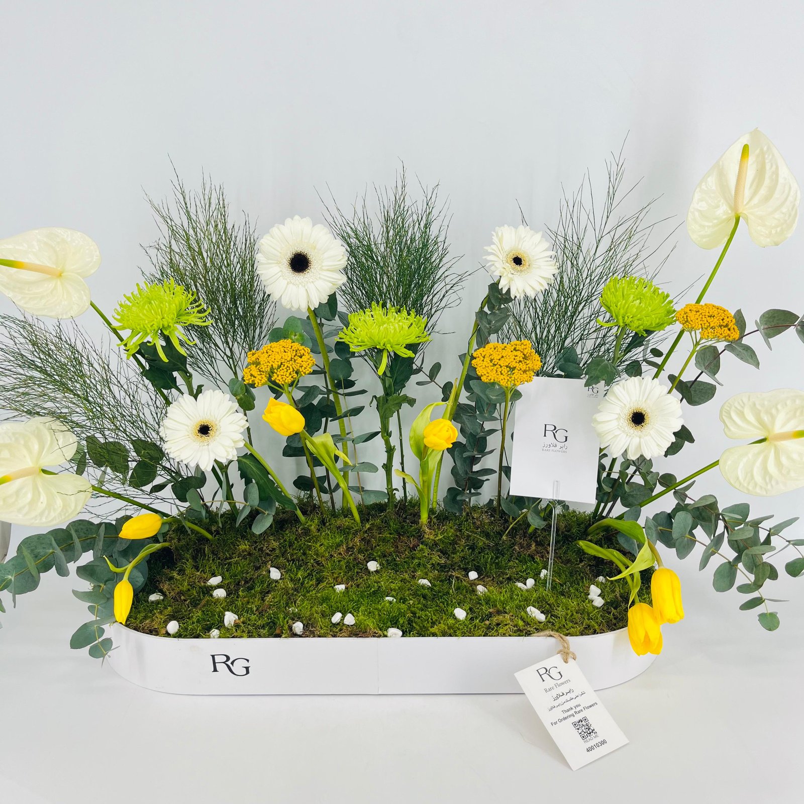 15434 - Image 4