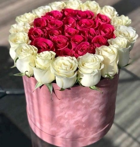 500 - صورة 1