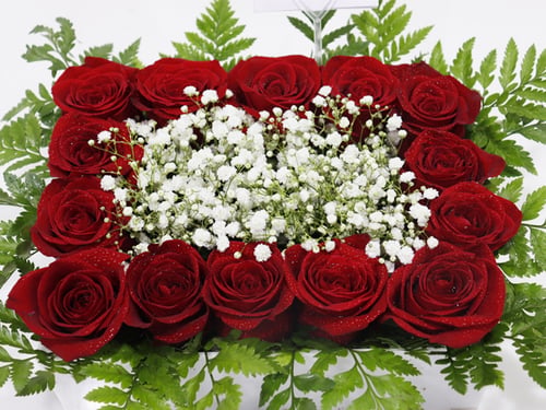 3299 - صورة 3