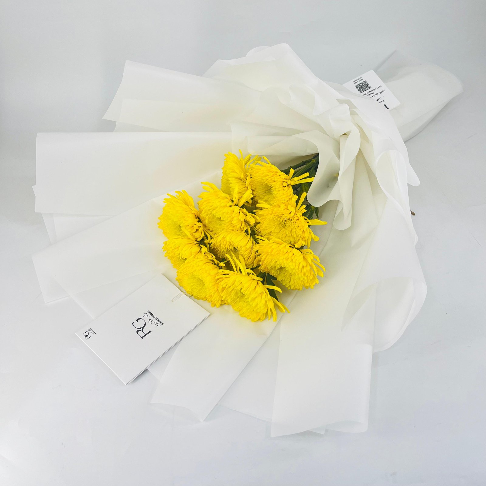 9662 - صورة 3
