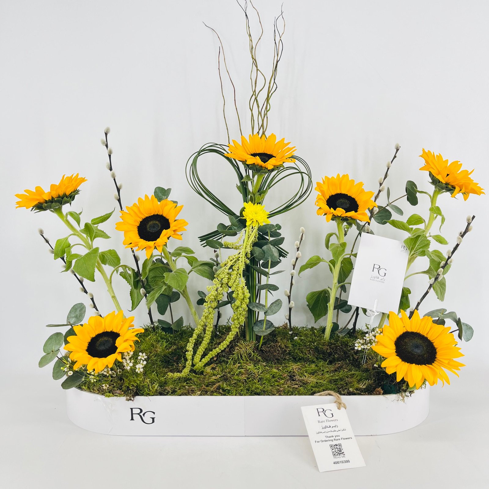 15435 - Image 1