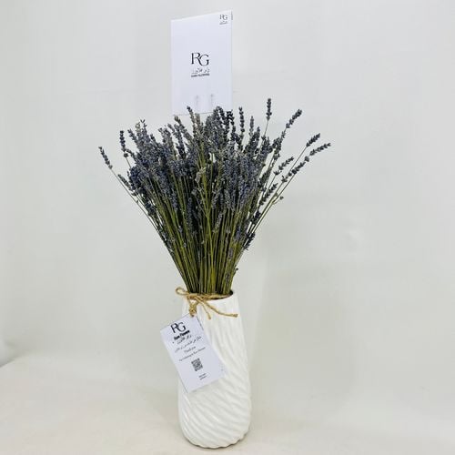 3695 - صورة 3