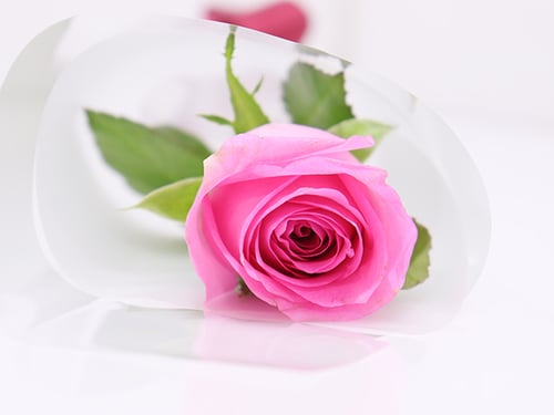 069 - صورة 3