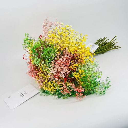 4445 - صورة 2