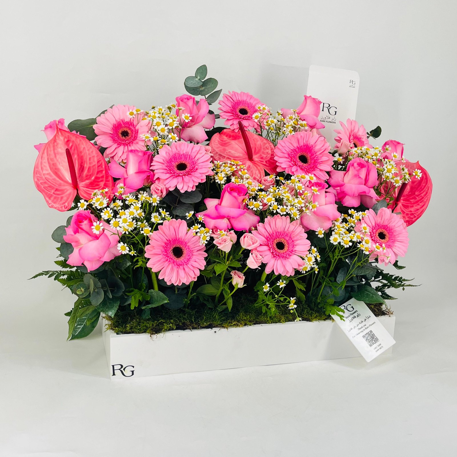 12499 - صورة 3