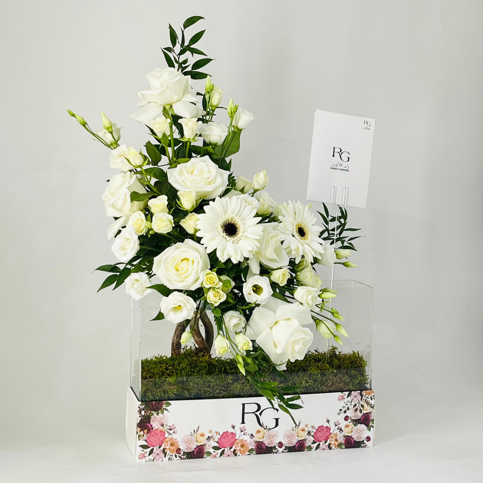 12263 - Image 3