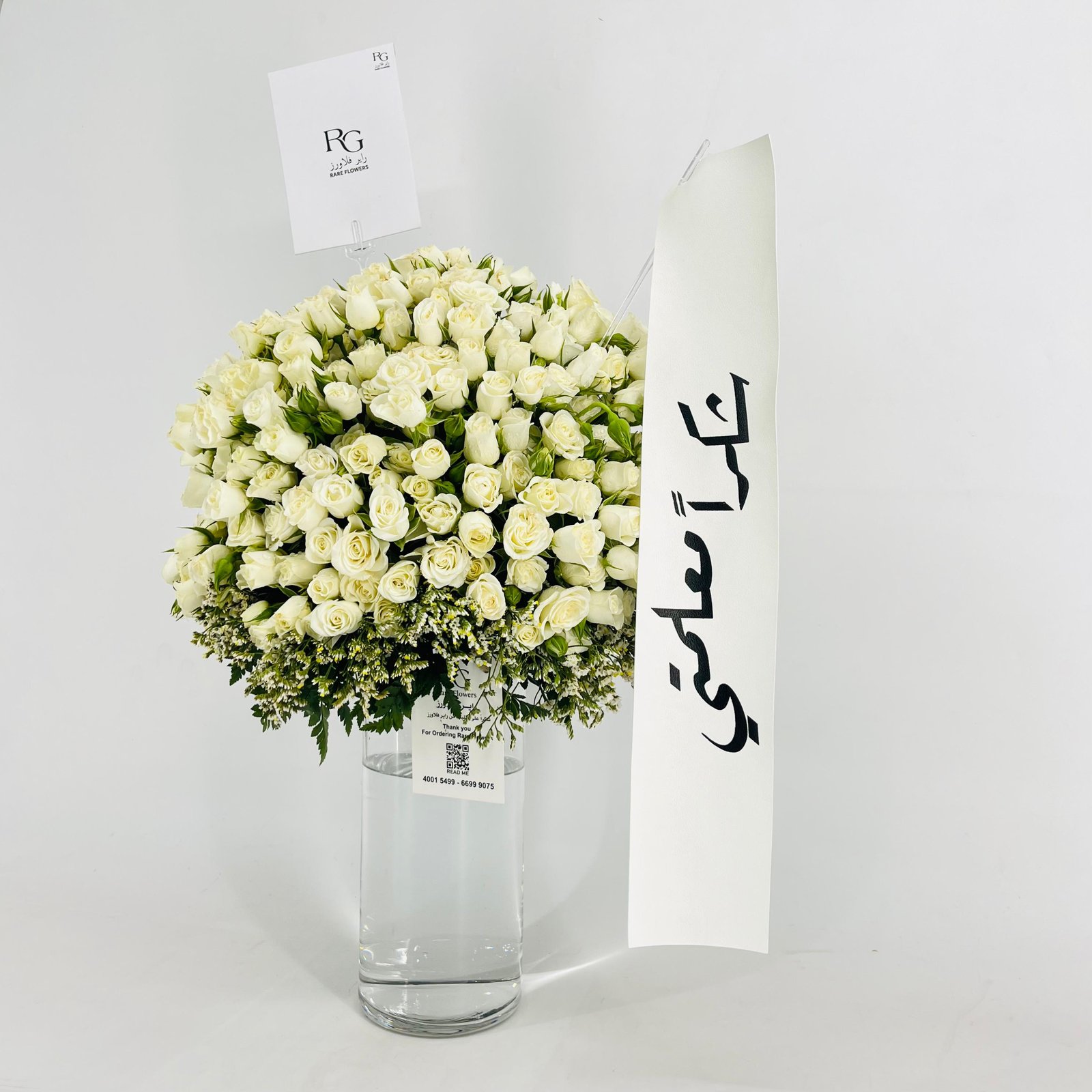13915 - صورة 3