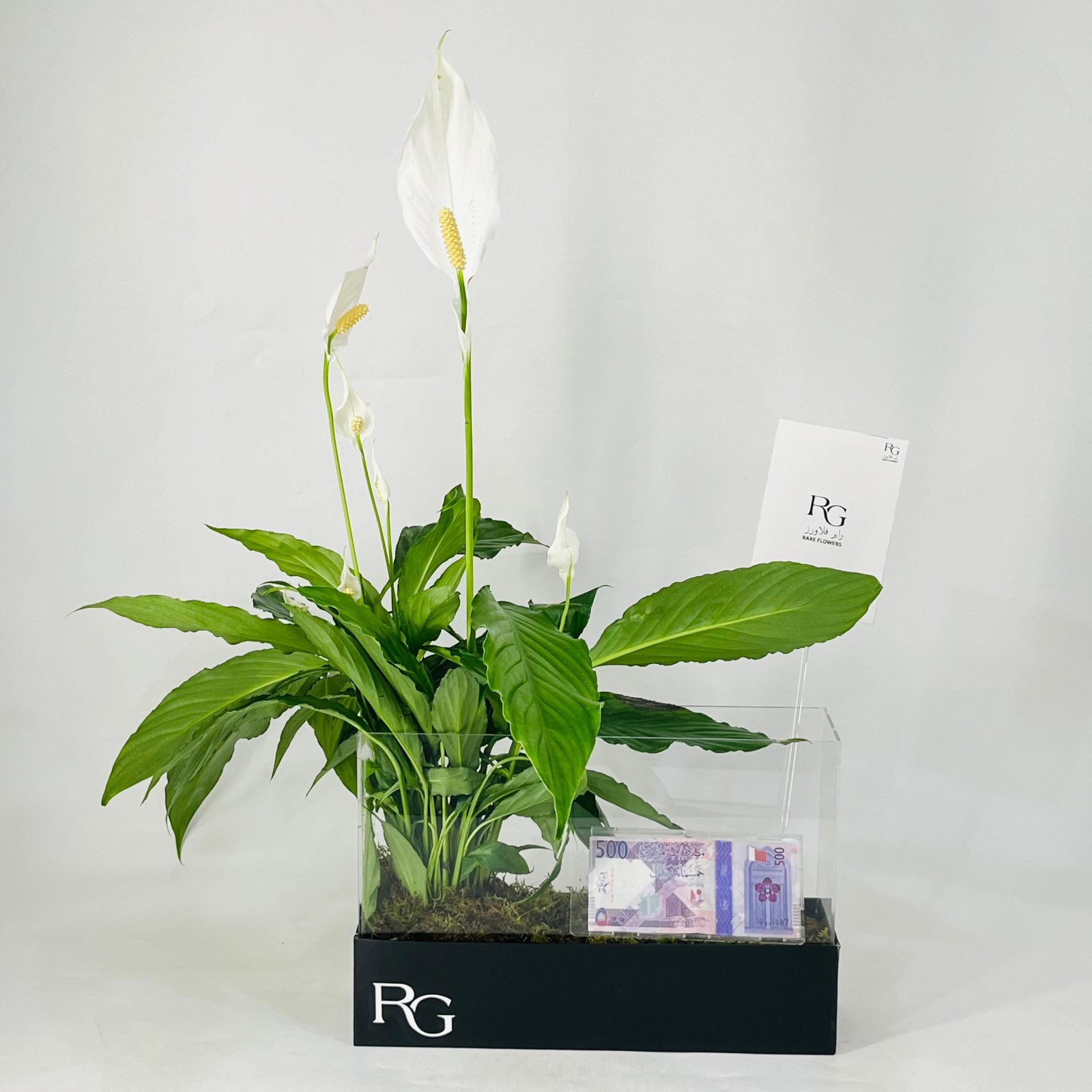 12033 - Image 1