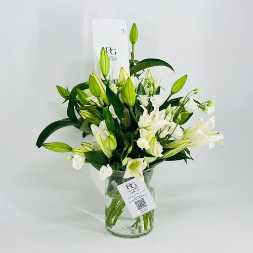 3727 - صورة 2