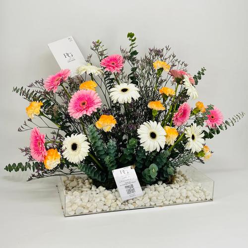6472 - صورة 2