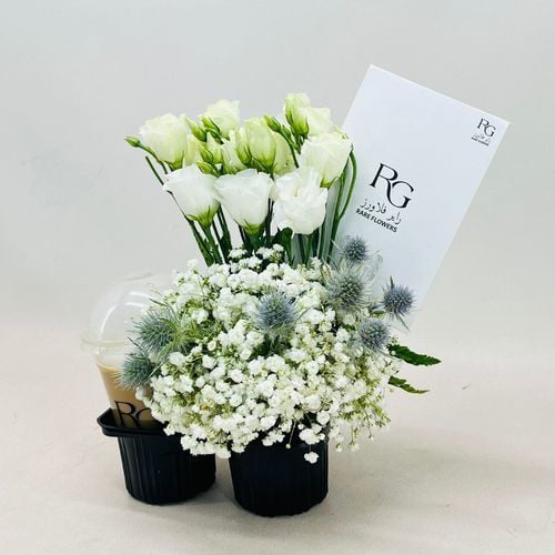 3766 - Image 1