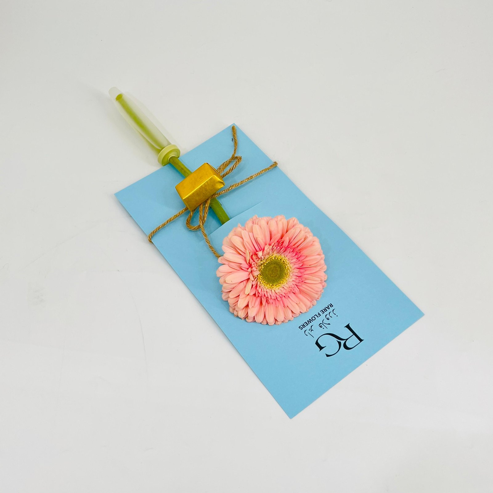 9950 - Image 2
