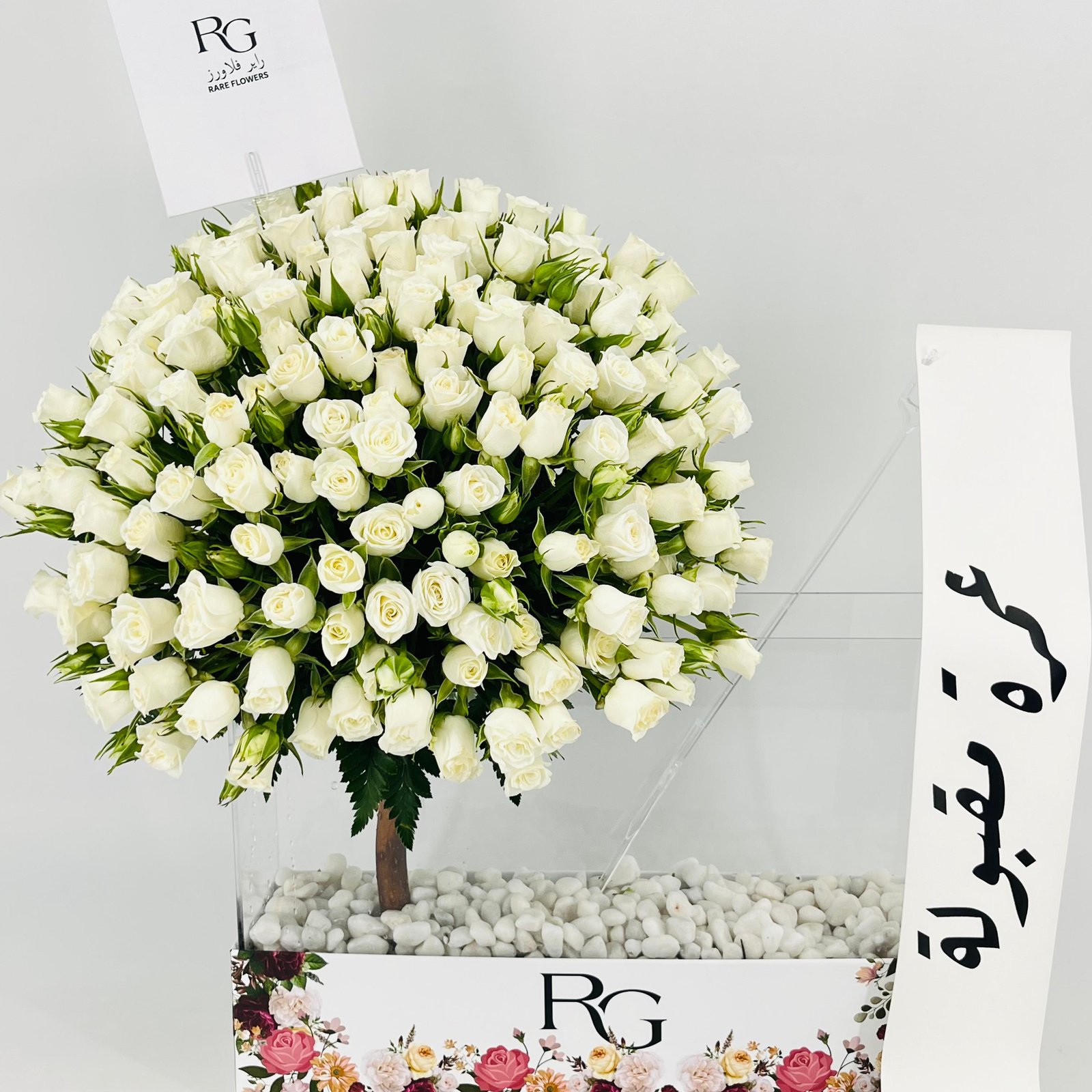 13444 - صورة 5