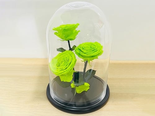 4265 - صورة 1