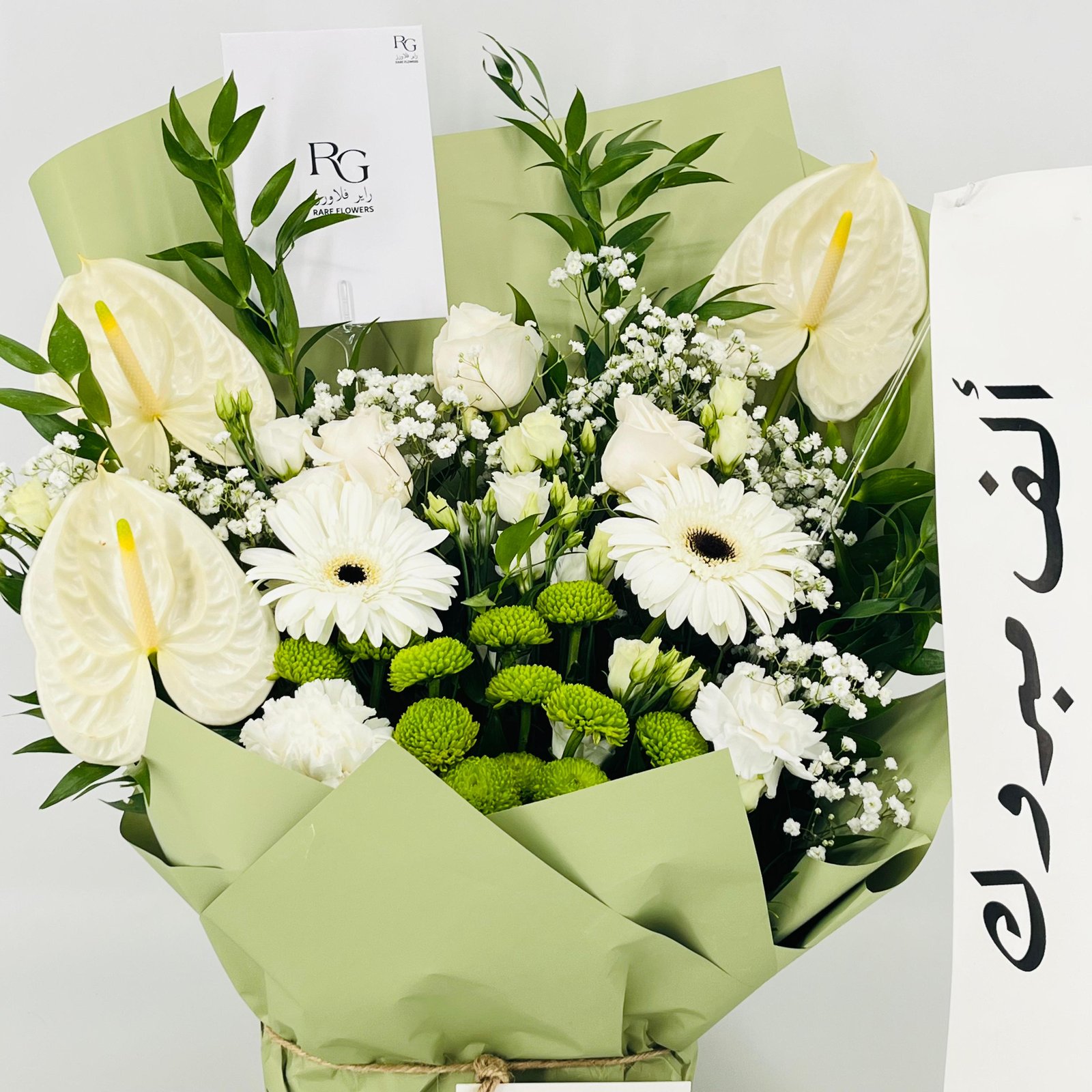 13524 - Image 4