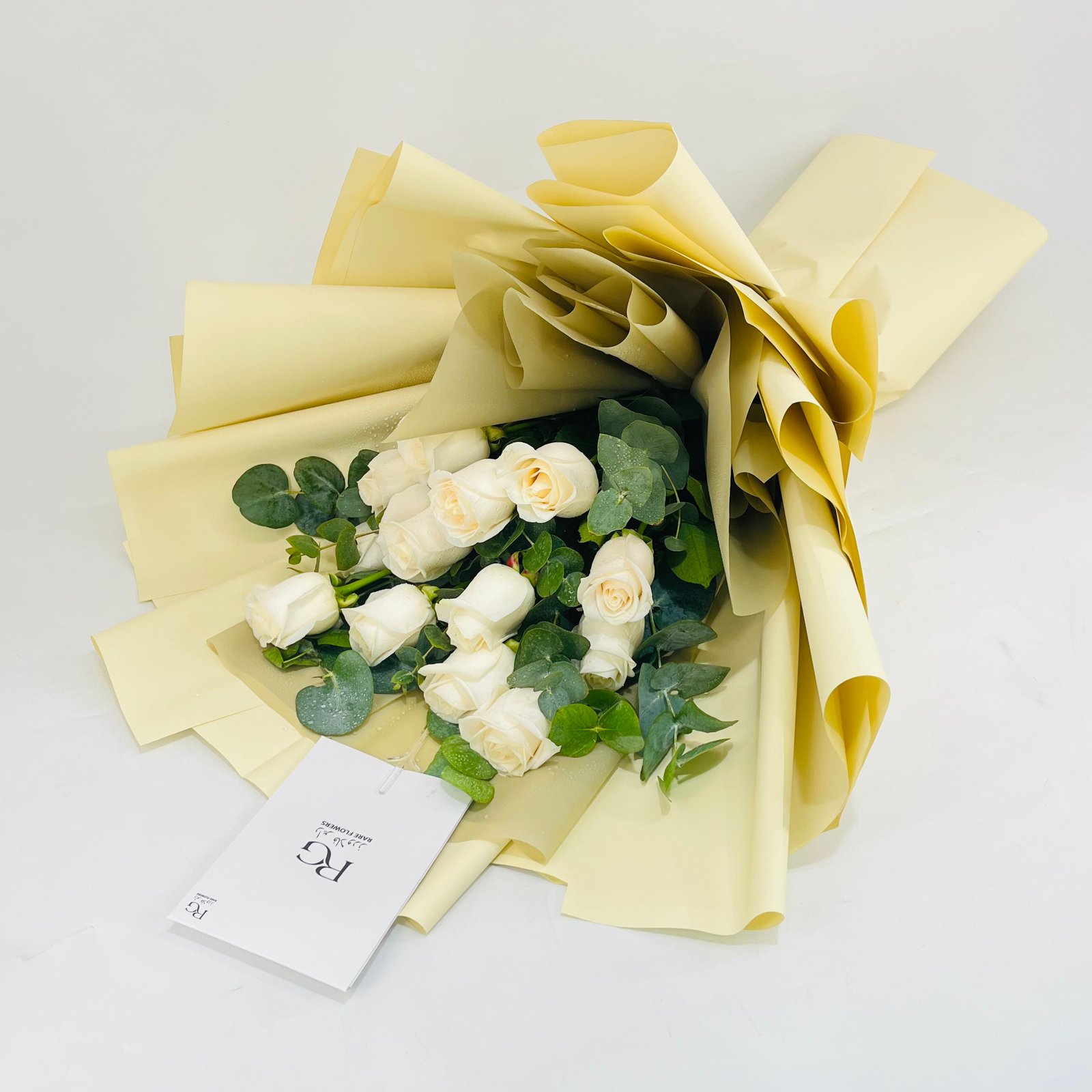 12761 - Image 2