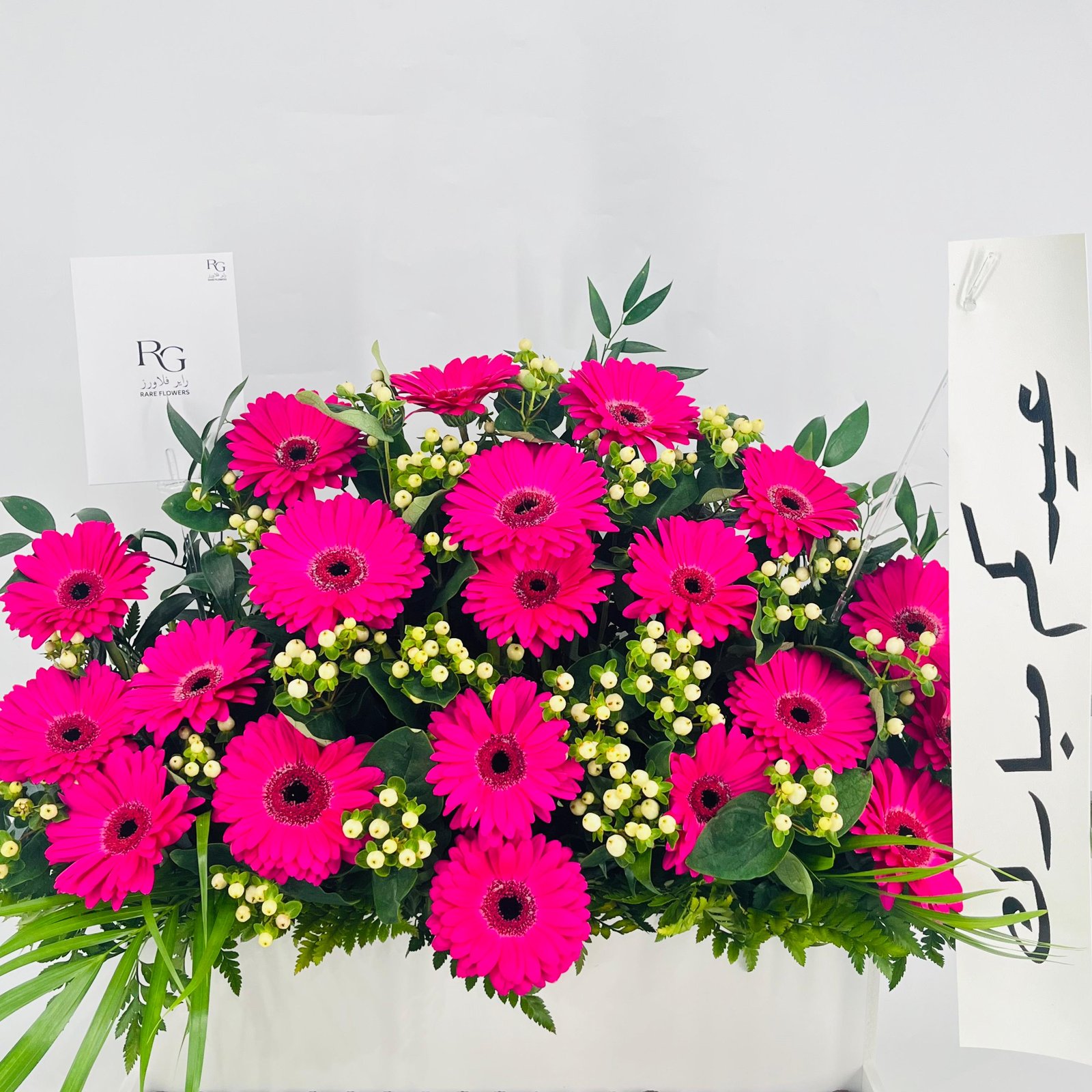 12753 - Image 4