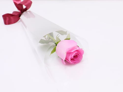 0069 - Image 1