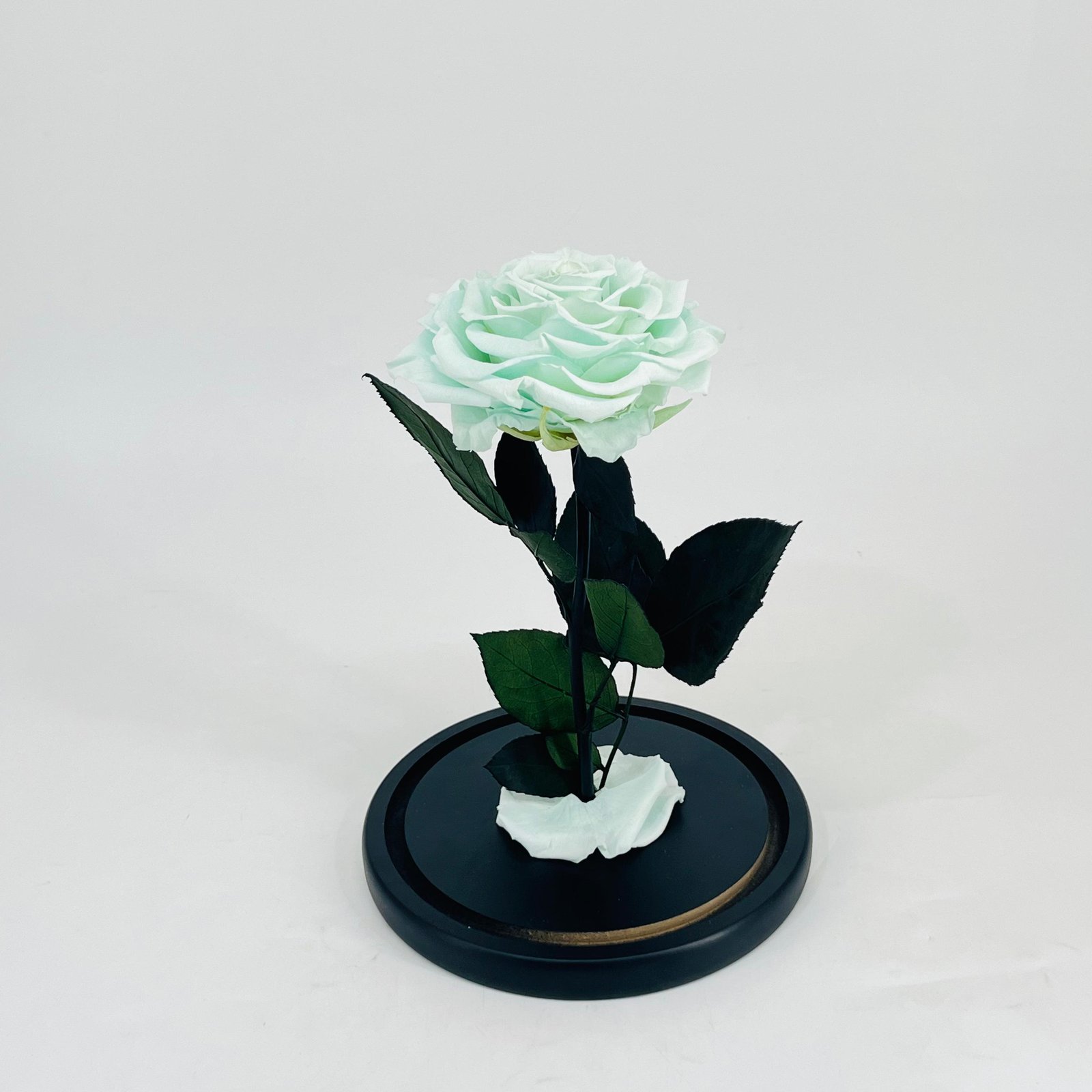 11277 - Image 3