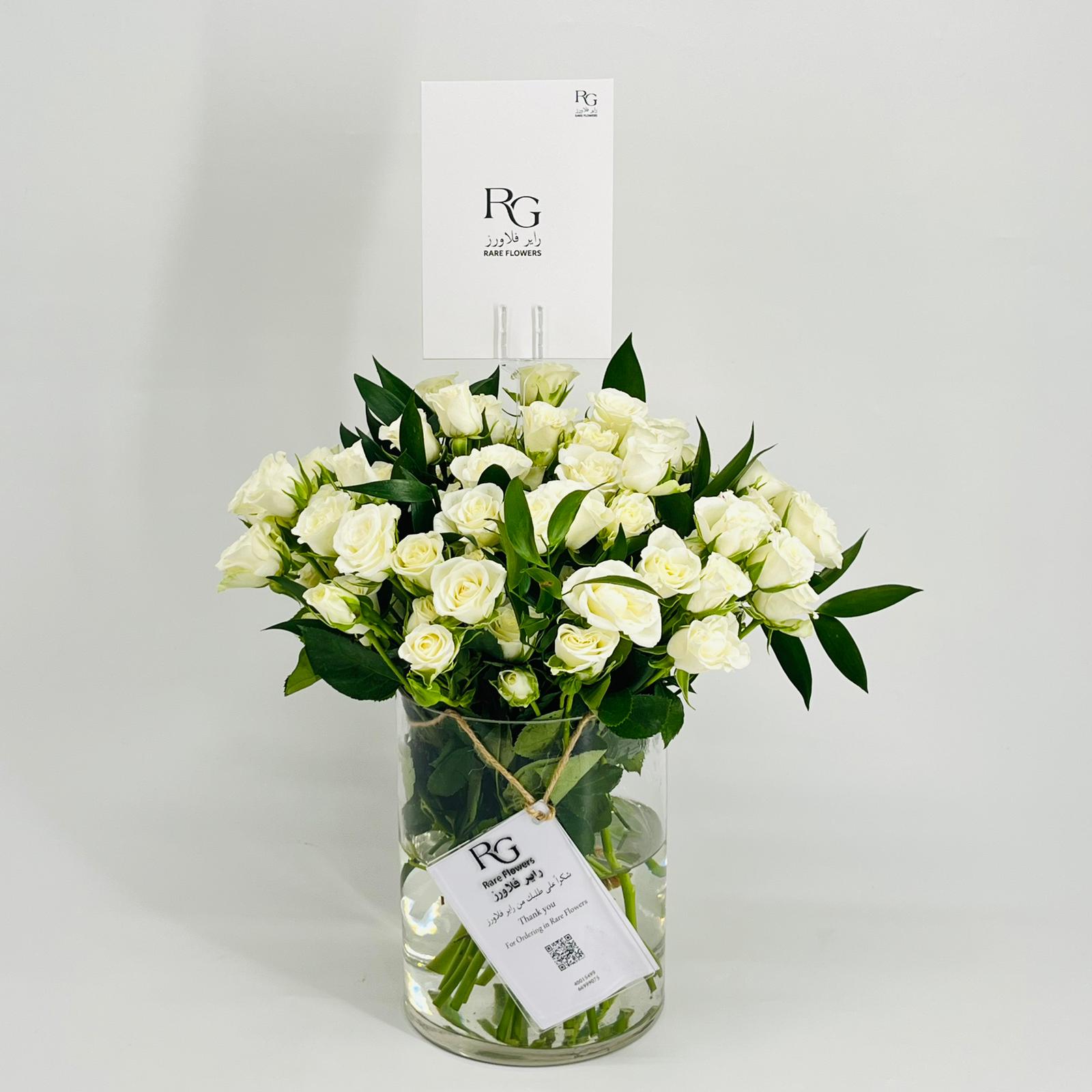 8701 - Image 1