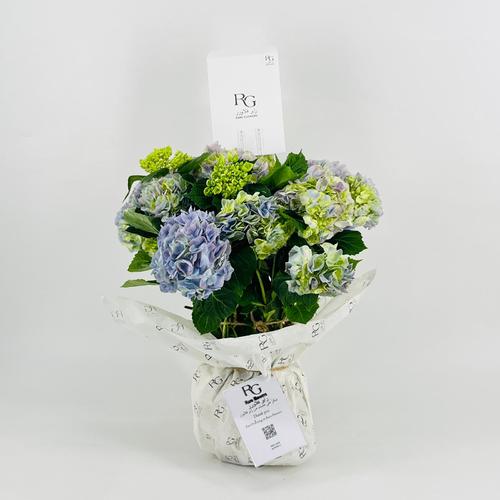 Hydrangea 5 flower No.9527 - Image 1