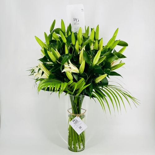 2594N - صورة 3