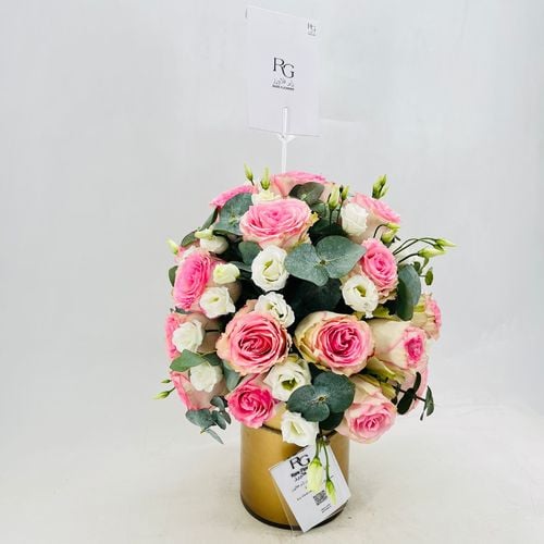 489 - صورة 2