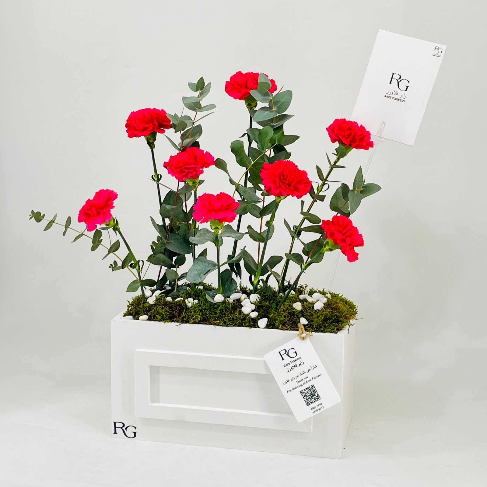 11758 - Image 2