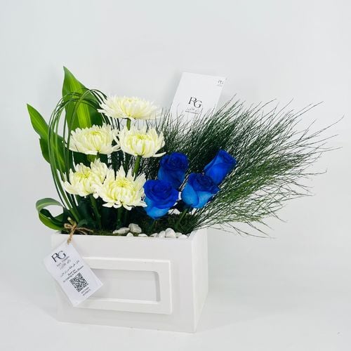 8999N - صورة 3