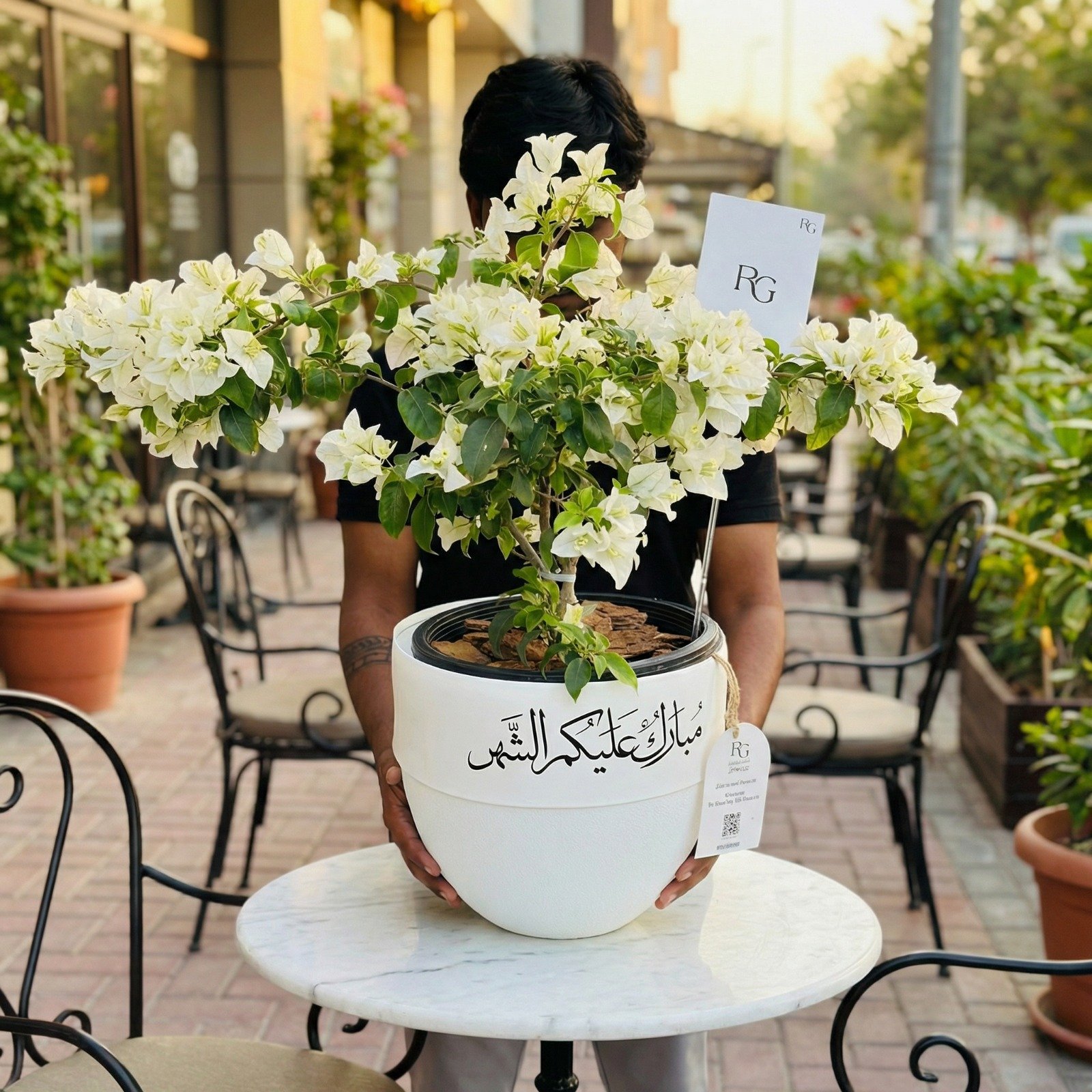 26235 - صورة 1