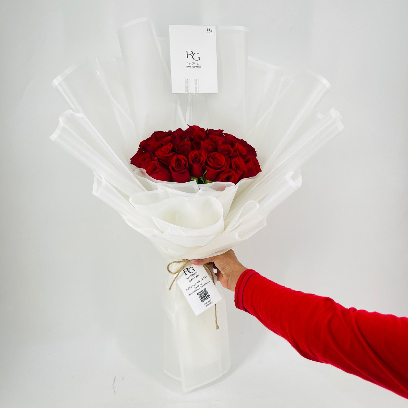 12313 - Image 4