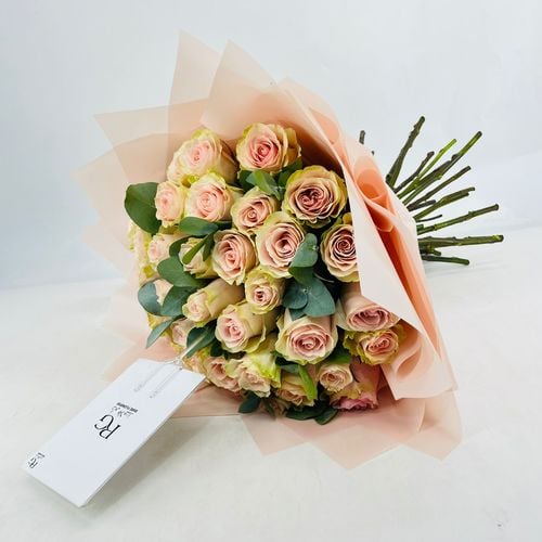 1487 - صورة 2