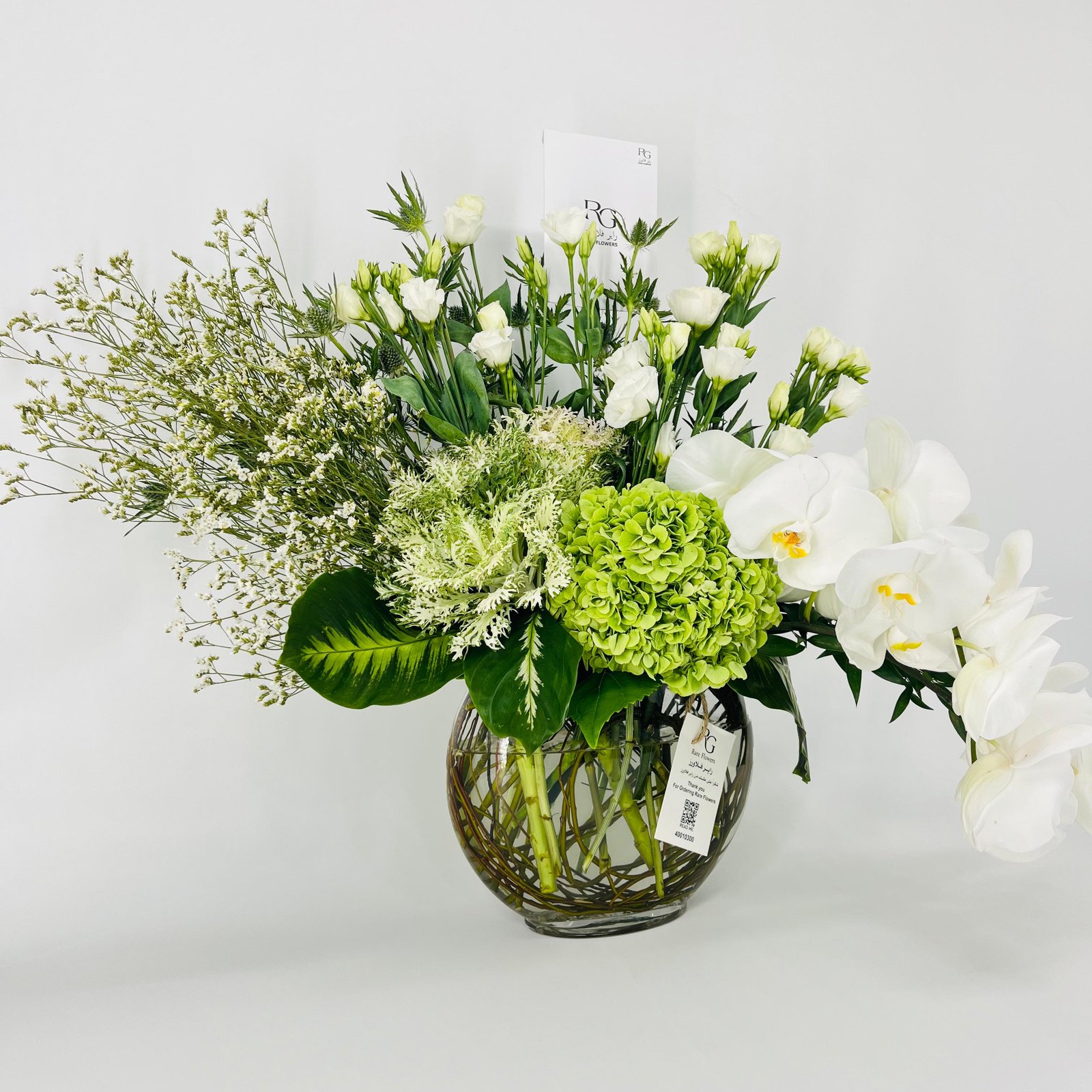 14071 - Image 2