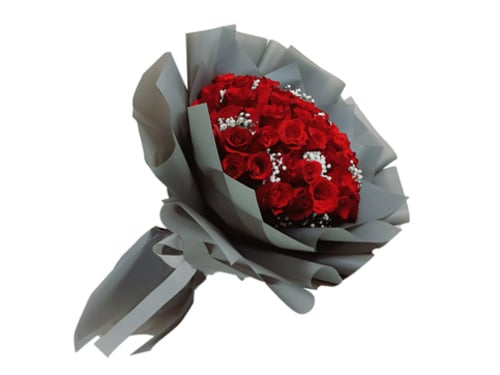 2453 - صورة 1