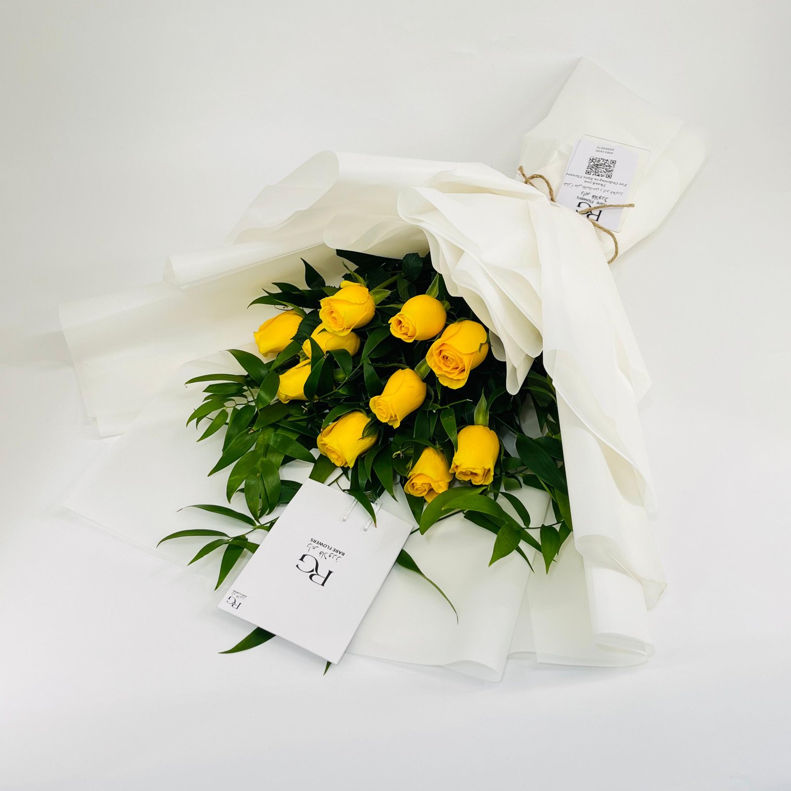 10388 - صورة 3