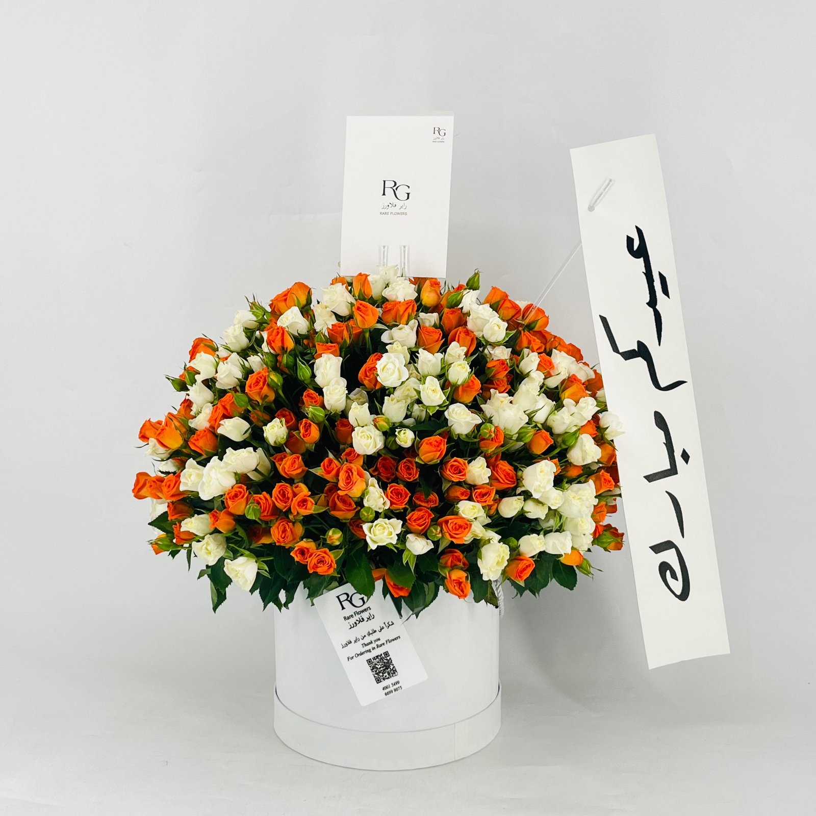 12771 - صورة 4