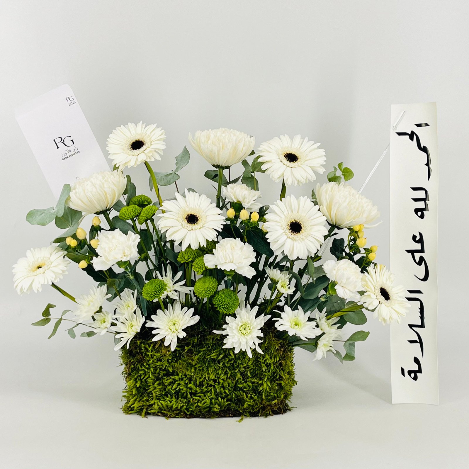 13332 - صورة 1