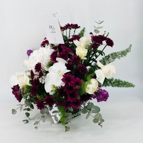 4657 - صورة 3