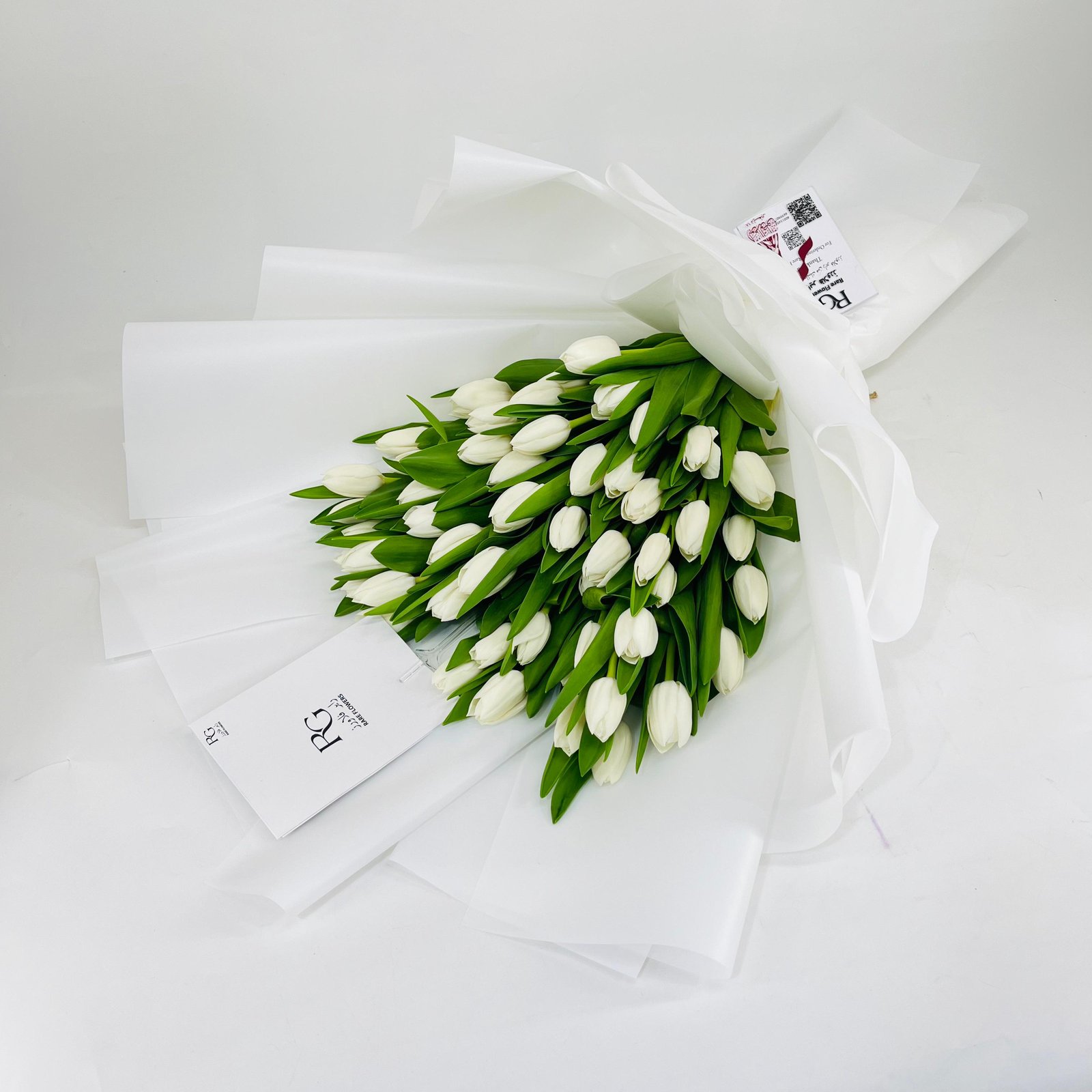 11192 - صورة 2
