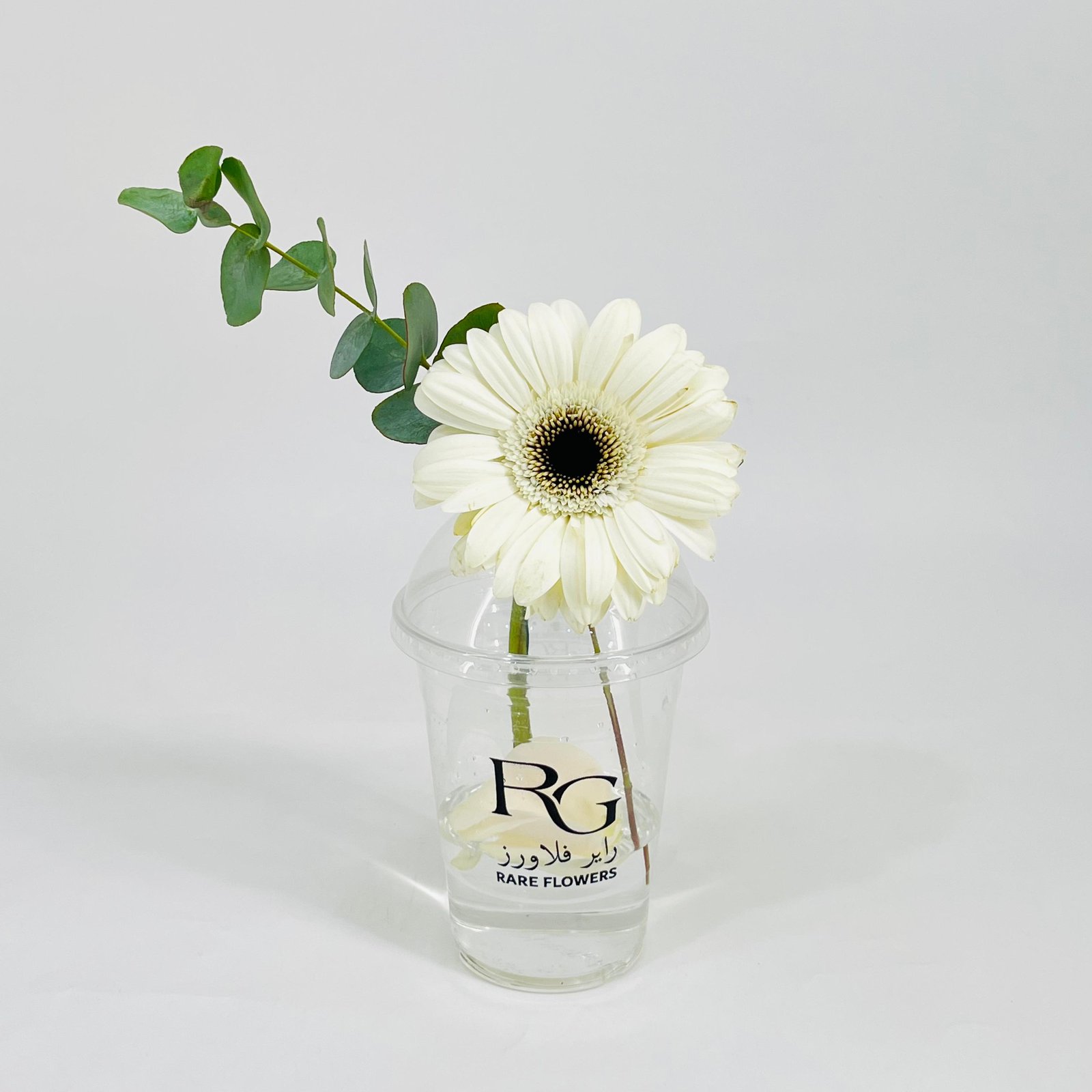 10799 - Image 1