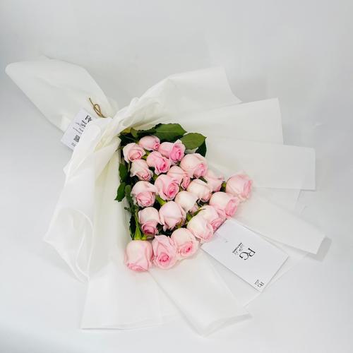 8424 - صورة 1