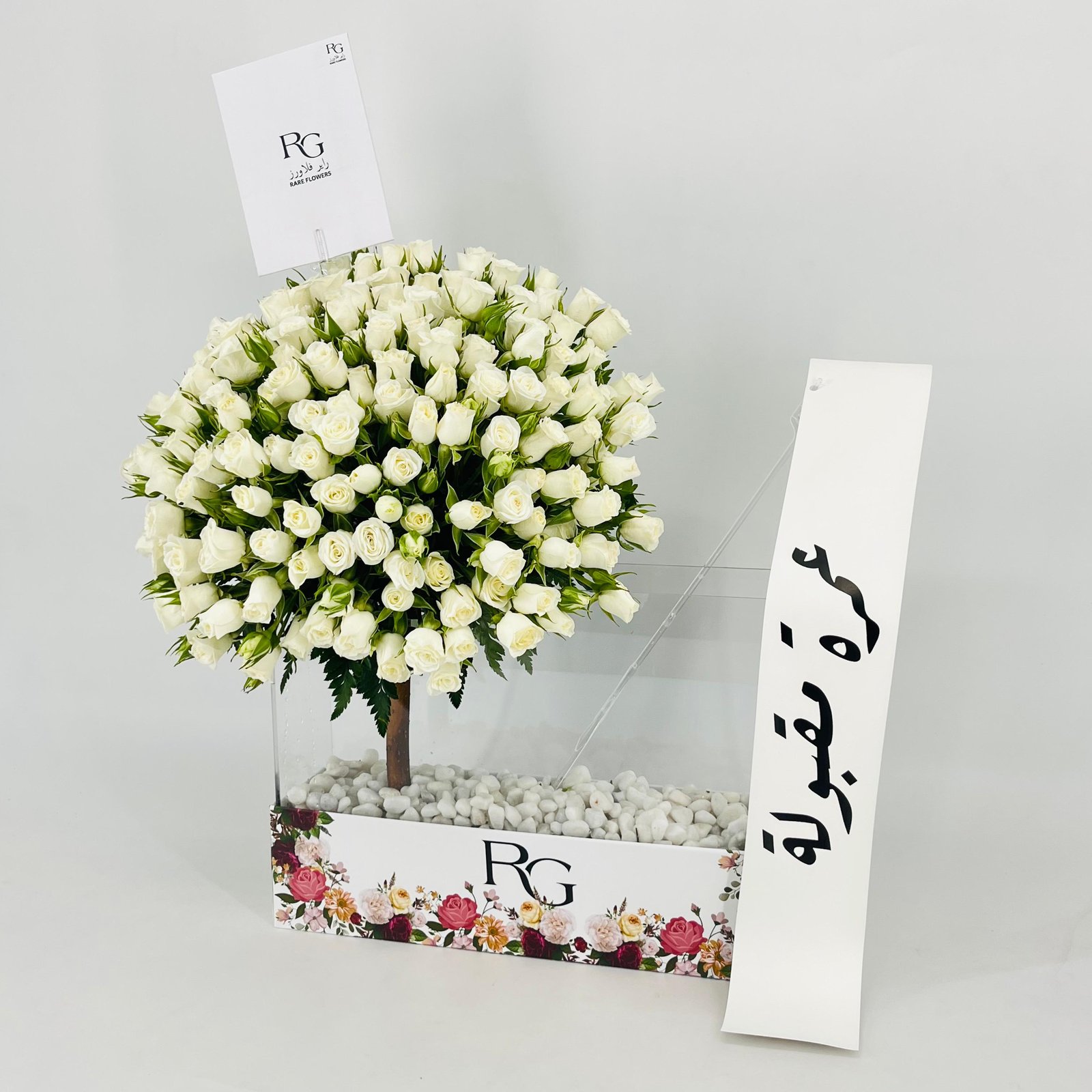 13444 - صورة 3