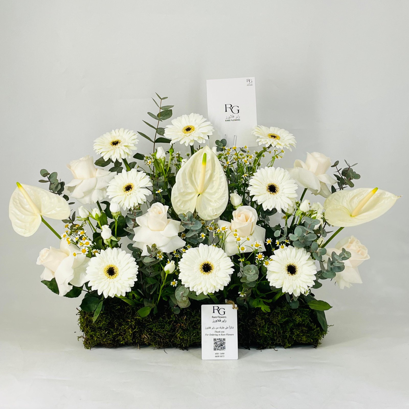 12076 - Image 1