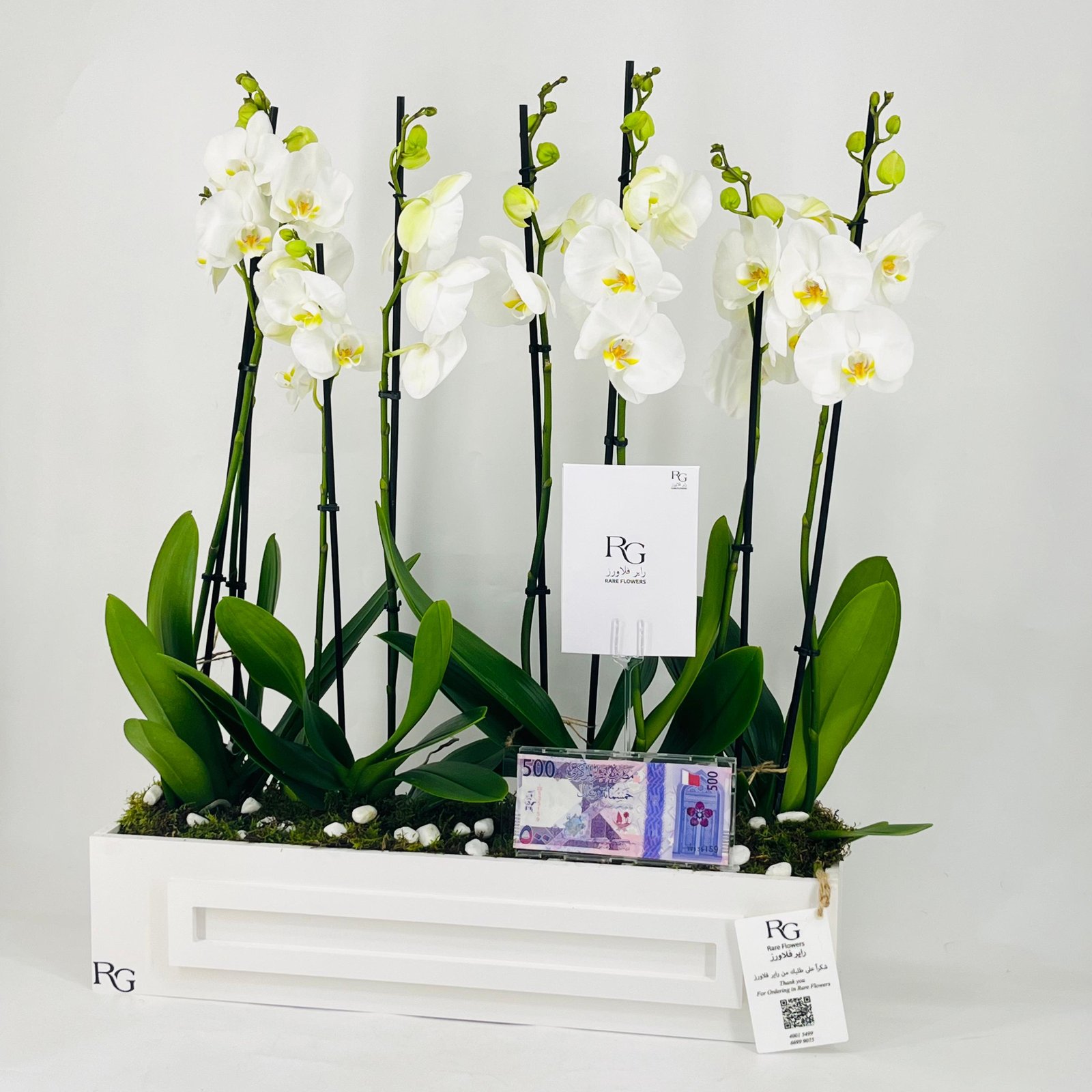 12468 - Image 4