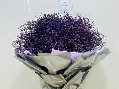 1434 - صورة 2
