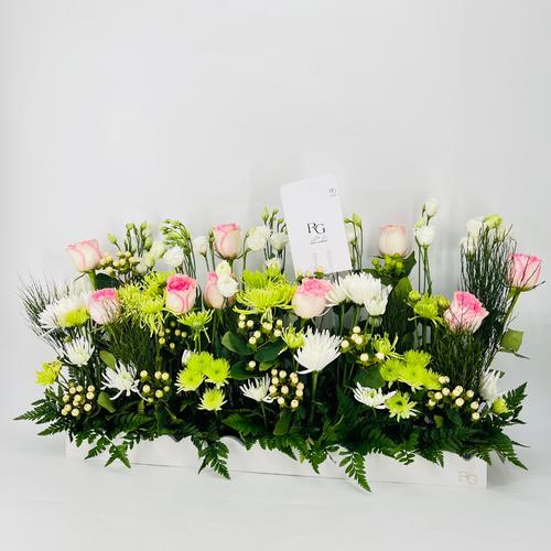 9675 - صورة 3