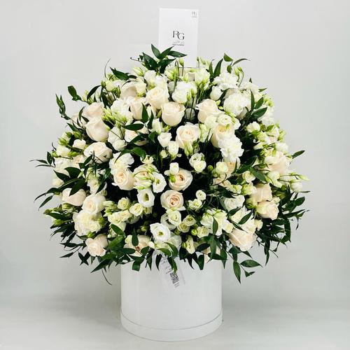8859N - Image 3