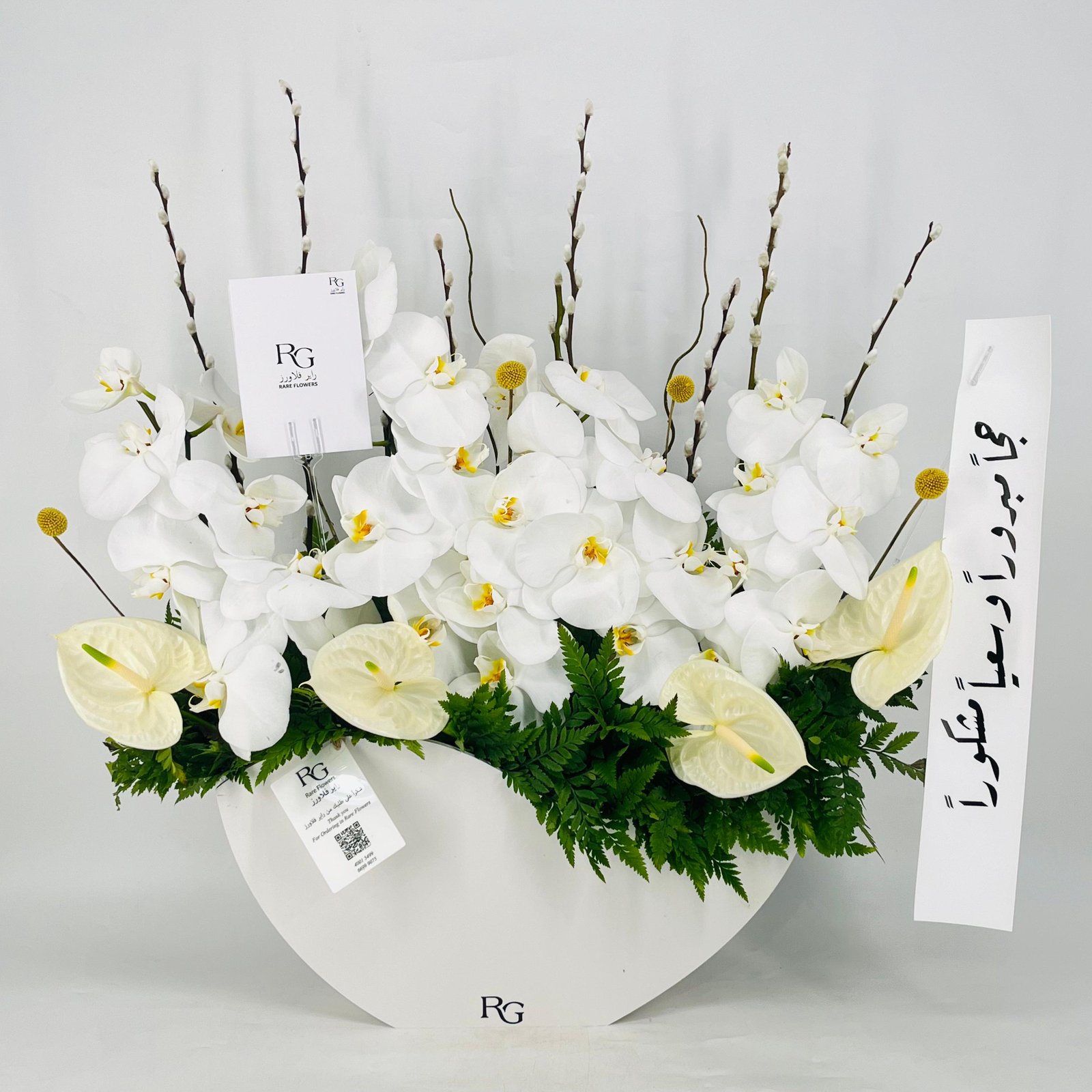 12670 - Image 1